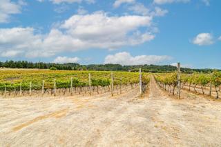 Vineyard Farmhouse in Oakland with Hot Tub! - Oakland - 9
