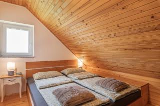 Holiday House Podhamer Boris with private Wellness - Ljutomer - 1