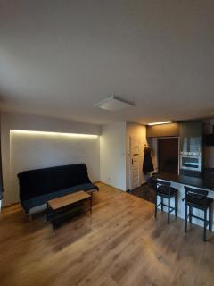 Cosy Studio Apartment in central Warsaw - Warsaw - 4