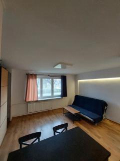 Cosy Studio Apartment in central Warsaw - Warsaw - 1