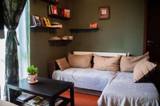 Pensiunea Franzdorf Alpin Valiug - 8