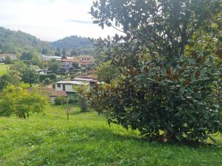 Casa Seme di Faggio - Miasino - 2