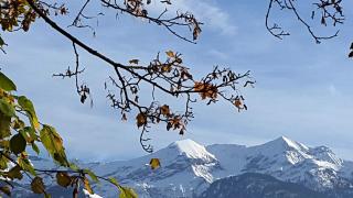 Oase zum SEIN - Spiez - 6