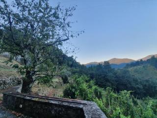Il Casale di Ernestina - Pontremoli - 5