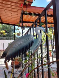 Hotel Nolasco - Antigua Guatemala - 1