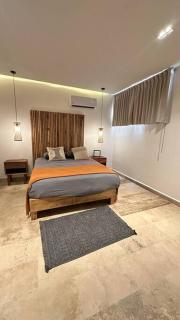 Nuevo departamento de 1 habitación en Sak Tuunich Tulum - Tulum - 1