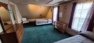 Terrapin Hostel - Kingfield - 7