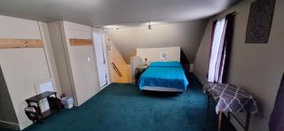 Terrapin Hostel - Kingfield - 8