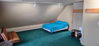 Terrapin Hostel - Kingfield - 5