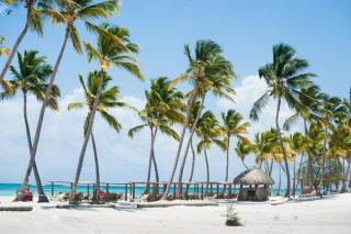 Your Private Pool, Marina Resort Hot Tub & Grounds - Punta Cana - 7