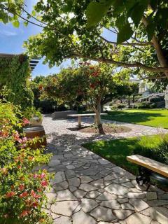 Casa Marieta en Valle de Guadalupe - 5