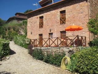 Quinta de Silvares - Armamar - 0