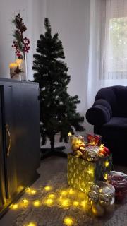 Apartmani Komoč - Novi Bečej - 6