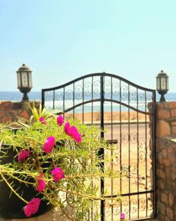 Mandala Lodge Beachfront Seaview Apt 1 - Dahab - 0