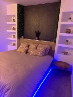 Magnifique gîte avec jacuzzi et sauna privatifs - - 0