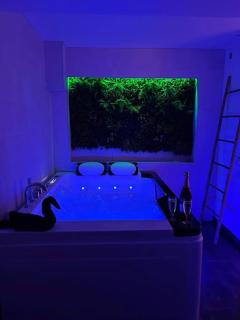 Magnifique gîte avec jacuzzi et sauna privatifs - - 8
