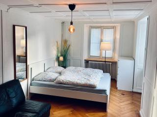 Cozy Little Apartment - Dübendorf - 8