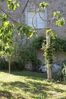 Apartments with a parking space Popovici, Dubrovnik - 8694 - Gruda - 2