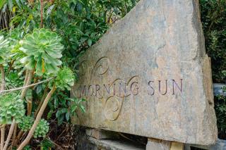 Morning Sun Vineyard - 5