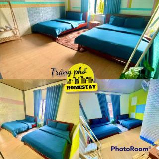Andy Homestay Trăng Phố Đà Lạt - Dalat - 6