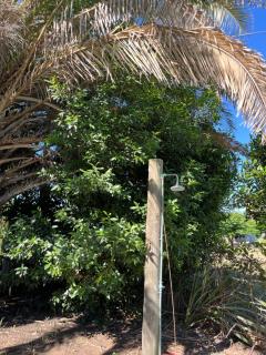 Trebol - San Miguel del Monte - 6