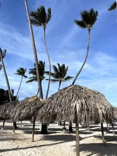 Blue coral beachfront studio - Punta Cana - 8