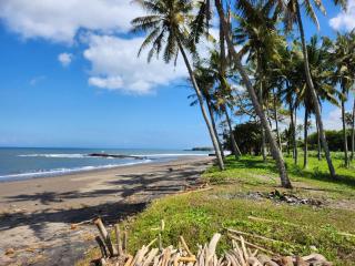 United Colors of Bali Nature - 0