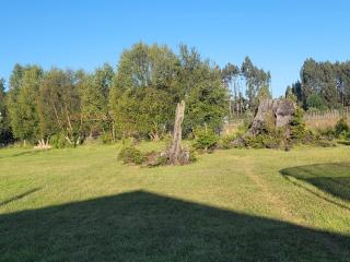 Mi refugio rural - Llanquihue - 5