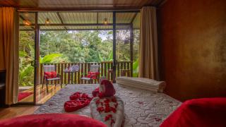 Edén Bungalow, A Paradise in La Fortuna! - Agua Azul - 2