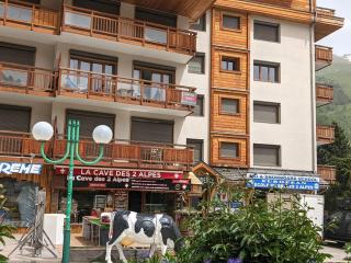 Bel appartement moderne 8 pers, 250m des pistes - FR-1-811-24 - Les Deux Alpes - 2
