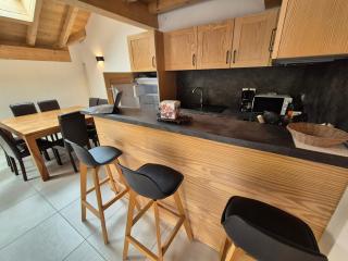 Duplex lumineux 8 pers, proche pistes, animaux ok - FR-1-811-29 - Les Deux Alpes - 0