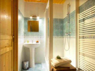 Chalet spacieux 8 pièces, 15 pers, sauna, cheminée, Les Deux Alpes - FR-1-811-22 - Les Deux Alpes - 1