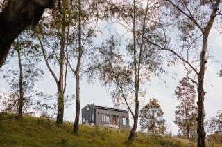 Tiny Thomas - Upper Colo - 9