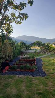 Mimi Cottage - Vacation home good for 4-8 people - 6