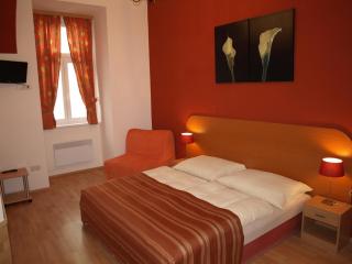 Hotel Liechtenstein Apartments II - Wien - 2