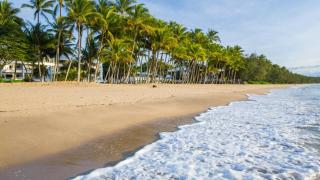 Larasati - Palm Cove - Palm Cove - 9