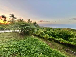 Siquijor Wejman Mountain Sanctuary - 2