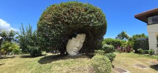 Villa Ta'u Here - Arue - 8