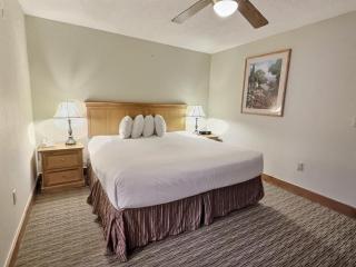 1bd 272 Perfect Location with Pool - 9