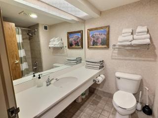 1bd 274 Perfect Location with Pool and Hot Tub - Crested Butte - 5