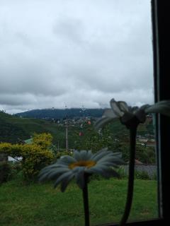 Mount View Cottage - Nuwara Eliya - 7