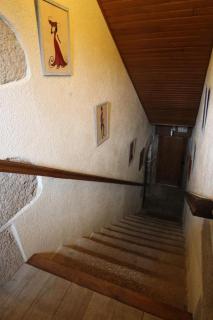 Le galachoux - Bersac-sur-Rivalier - 4