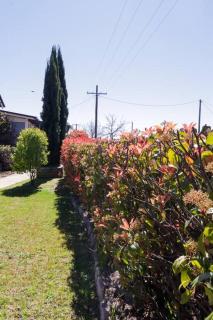Mullane Cottage - Tenterfield - 9