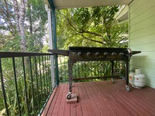 Sine Cera Rainforest Retreat - The Freeman Suite - Cougal - 8