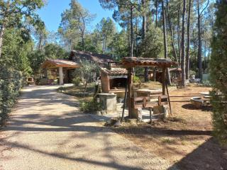The Chalet VertVentoux - Charming Wooden Chalet for a Cozy and Relaxing Getaway - Bédoin - 5