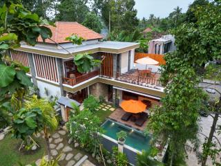 Villa Viandra - Ubud - 9