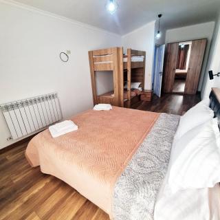 Twin Cottages in Bakuriani - Bakuriani - 4