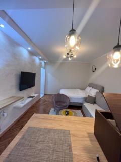 Anzoli Apartmani Centar Niksić - 4