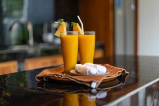 Villa Viandra - Ubud - 6