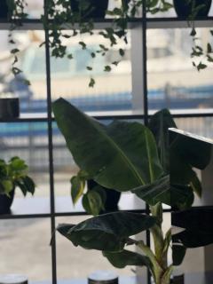 Aquaspot Kaunas - Kaunas - 5